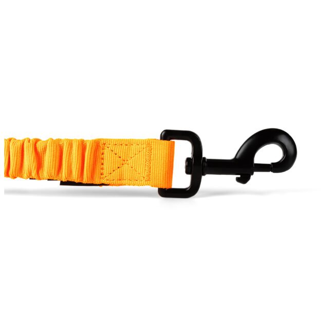 Mission Ready™ Modular Dog Leash