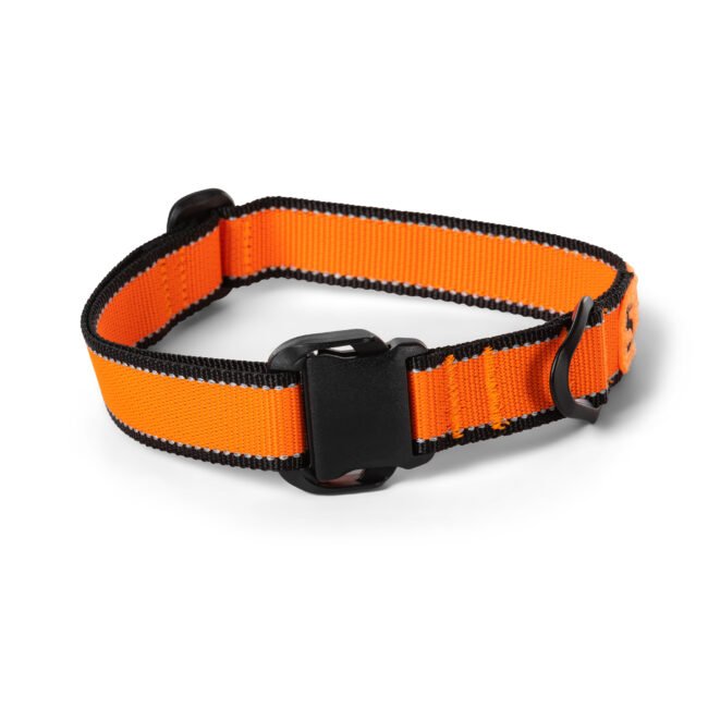 MISSION READY MOD DOG COLLAR