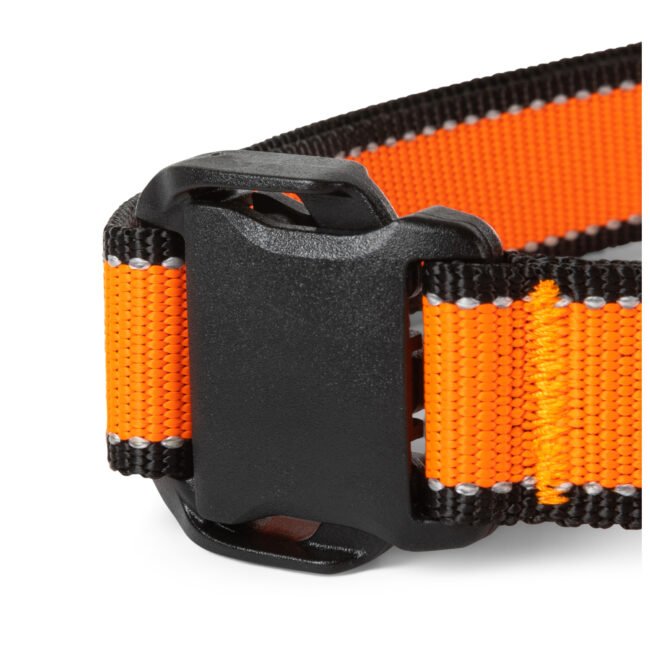 MISSION READY DOG COLLAR